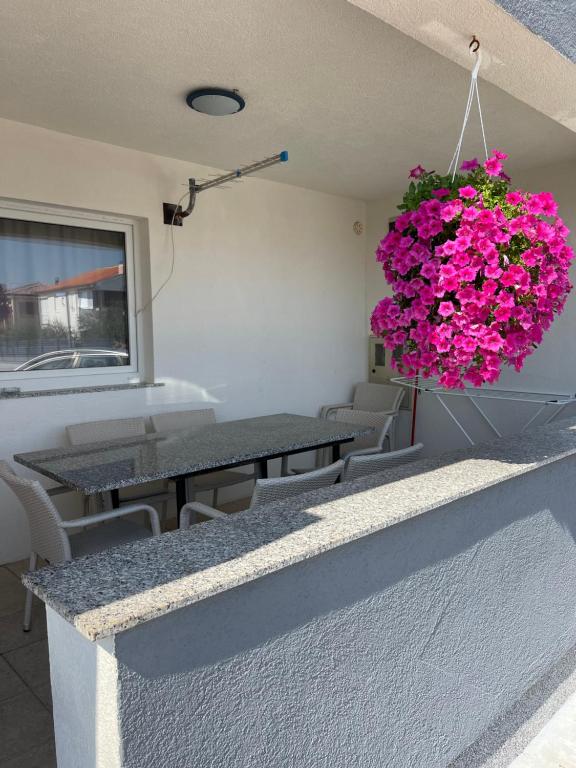 Fotografia z galérie ubytovania Apartmani Caganić Villa Bledi vo Viry