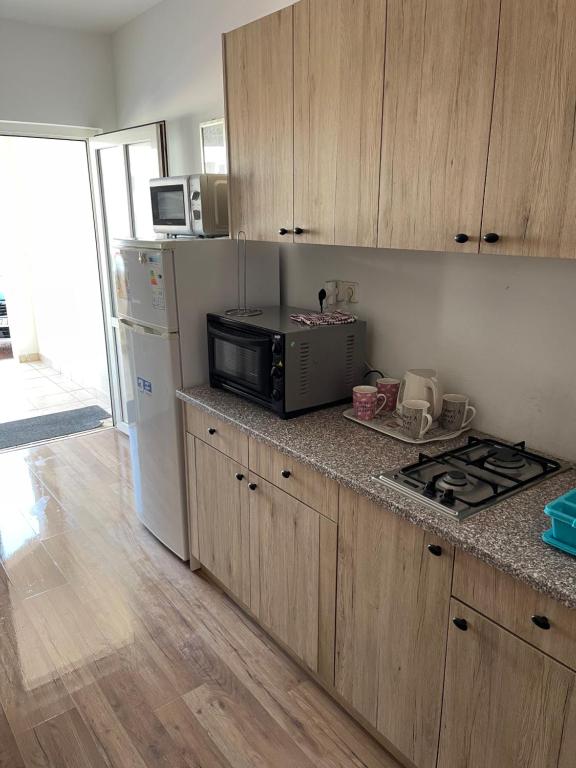 Kuchyňa alebo kuchynka v ubytovaní Apartmani Caganić Villa Bledi