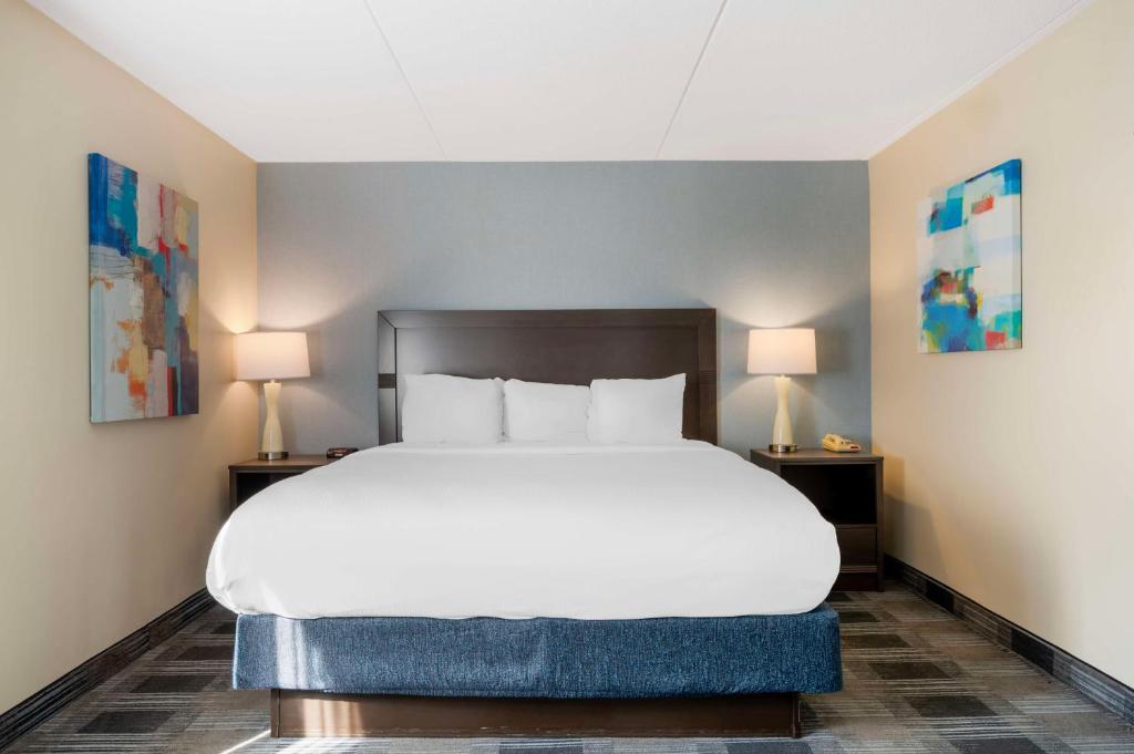 Best Western Plus Alexandria Fort Belvoir - King Suite