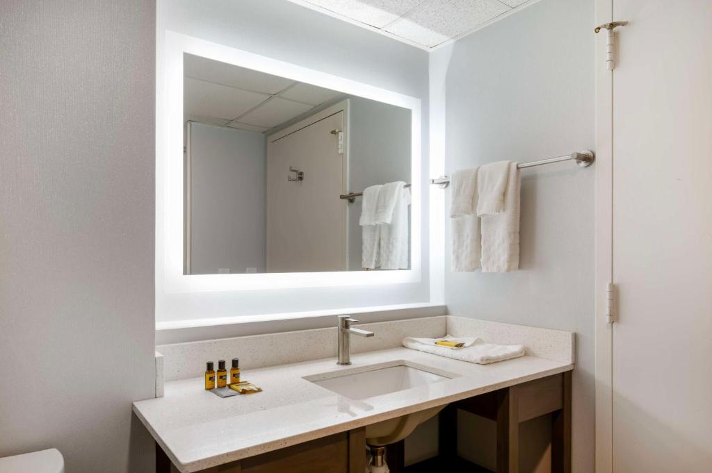 Best Western Plus Alexandria Fort Belvoir - King Room