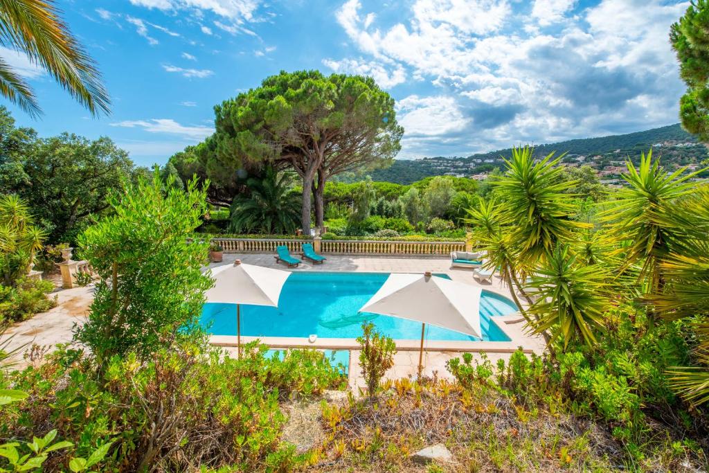 an outdoor swimming pool with umbrellas and trees at Paradis Provençal in Sainte-Maxime