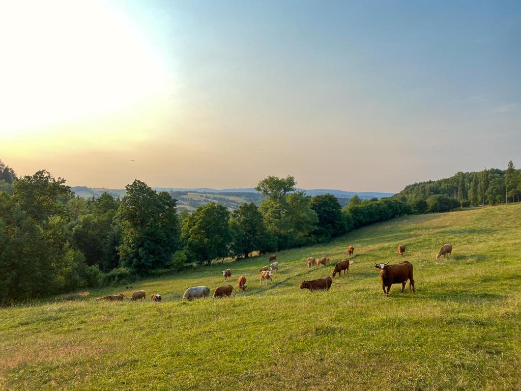 Paesaggio naturale nelle vicinanze della casa vacanze