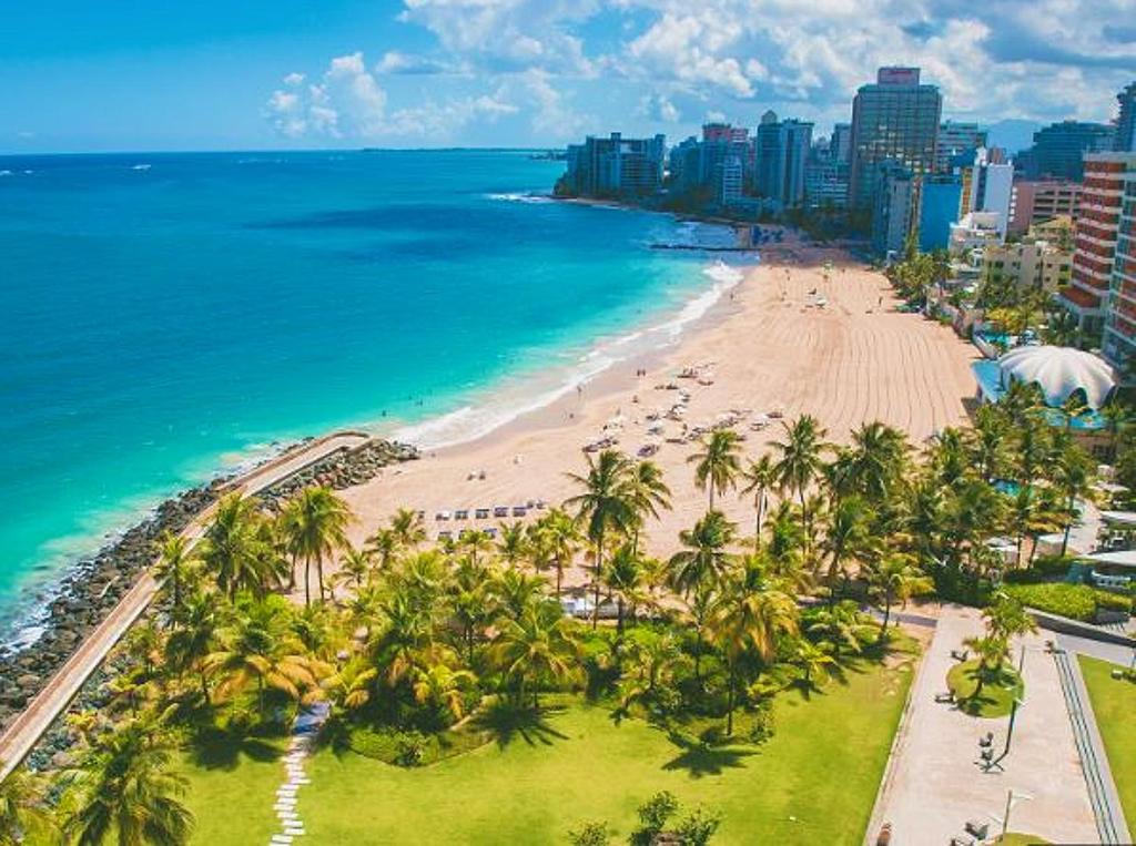 - une vue aérienne sur une plage bordée de palmiers et l'océan dans l'établissement Bposhtels San Juan, à San Juan