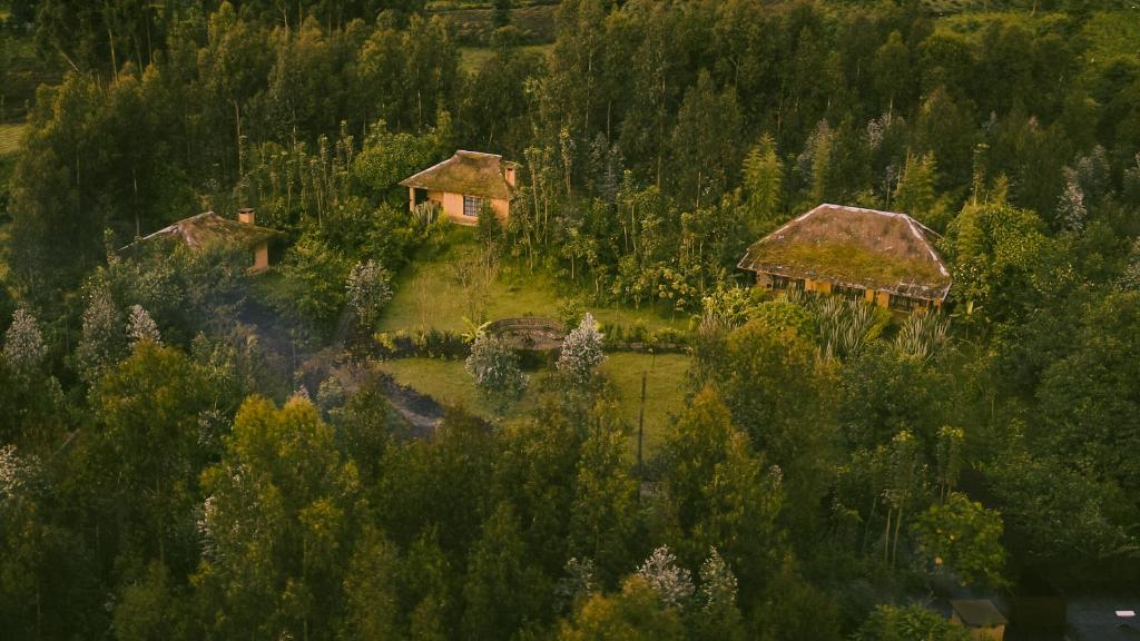 an aerial view of a house in a forest at Sambora Kinigi in Kinigi