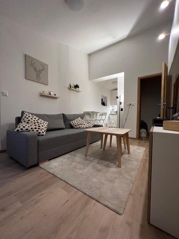 a living room with a couch and a table at Apartmán U Potoka in Dolní Morava