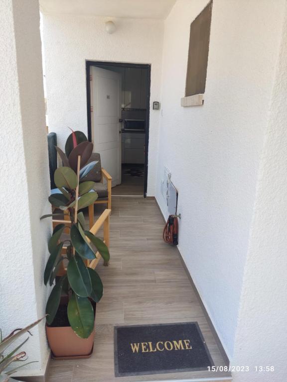 Fotografie z fotogalerie ubytování Vicky apartment v destinaci Paralimni