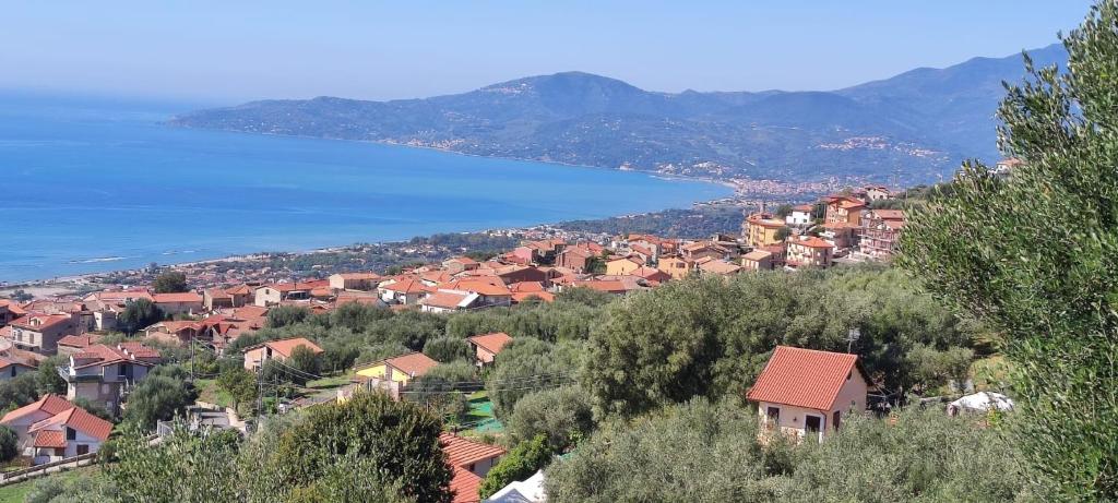 a view of a town with houses and the water at Agriturismo La Focazza in Ascea