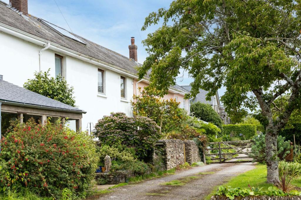 uma casa branca com uma árvore e uma entrada em Middle Cottage - Tranquil cottage ideal for walkers em Cornworthy