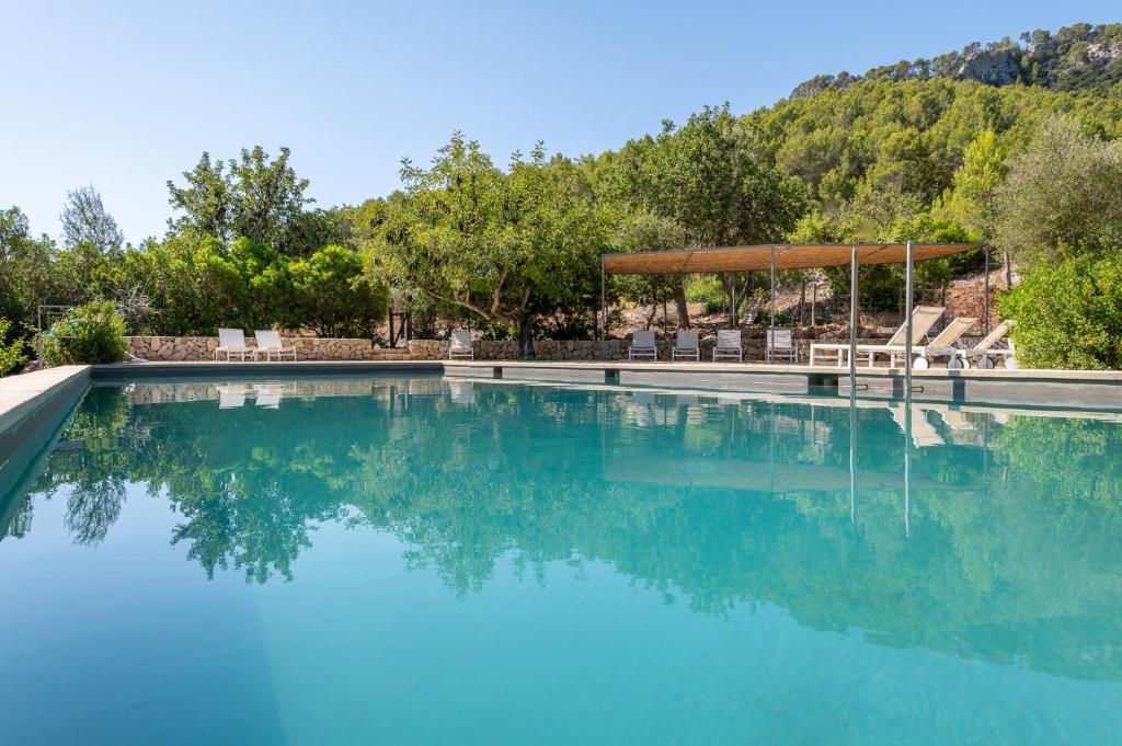 a swimming pool with chairs and trees in the background at Agroturismo Filicumis in Lloseta