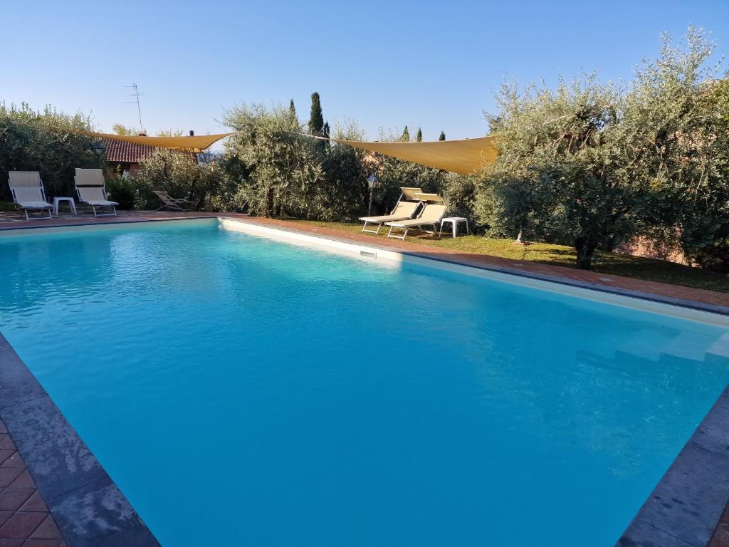 a large swimming pool with blue water in a yard at villa oliveta in San Gimignano