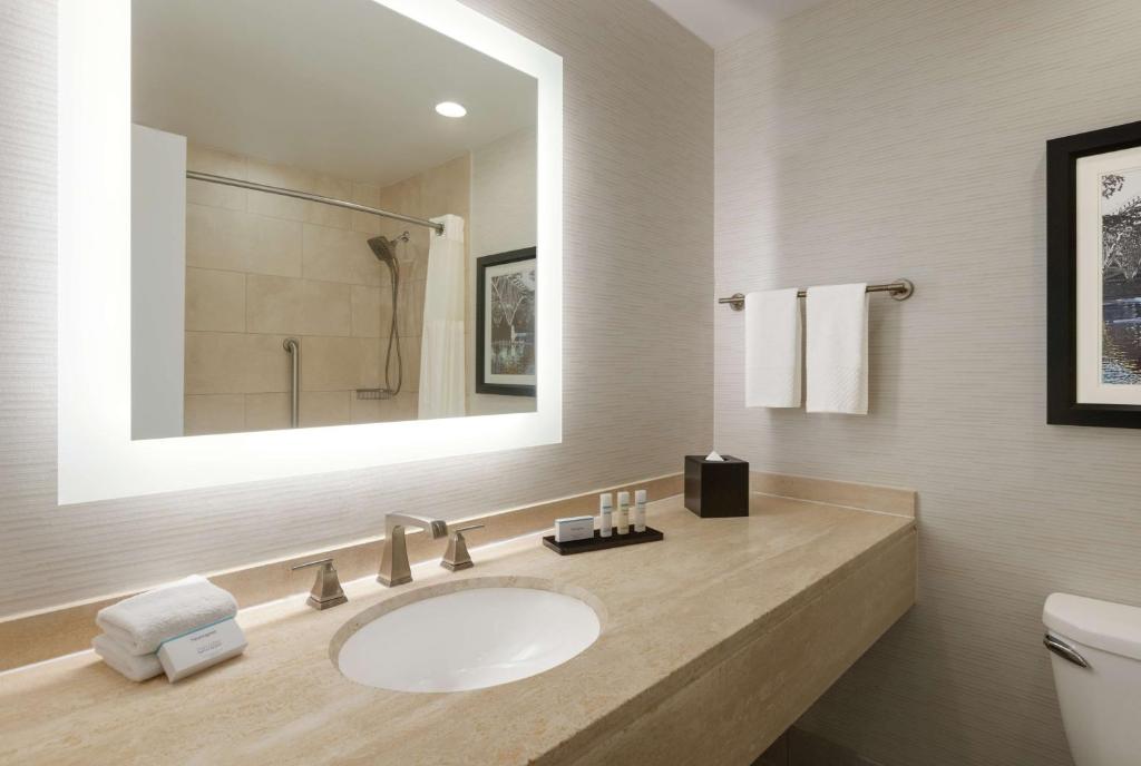 Embassy Suites by Hilton Philadelphia Valley Forge - King Room Accessible Non-Smoking