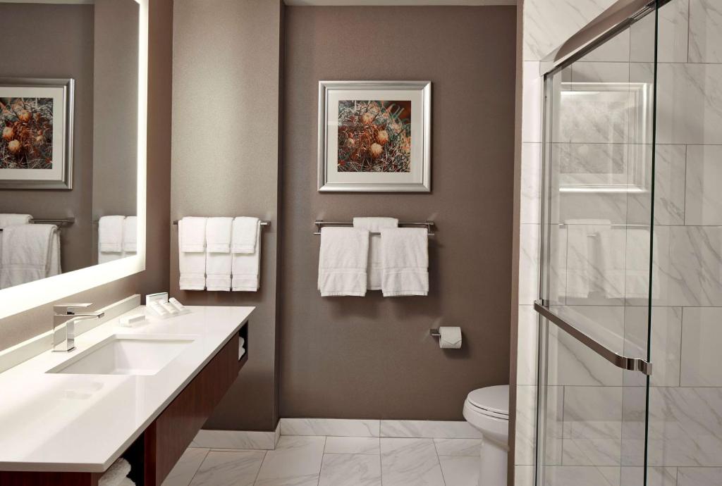 Hilton Garden Inn Phoenix Downtown - 
