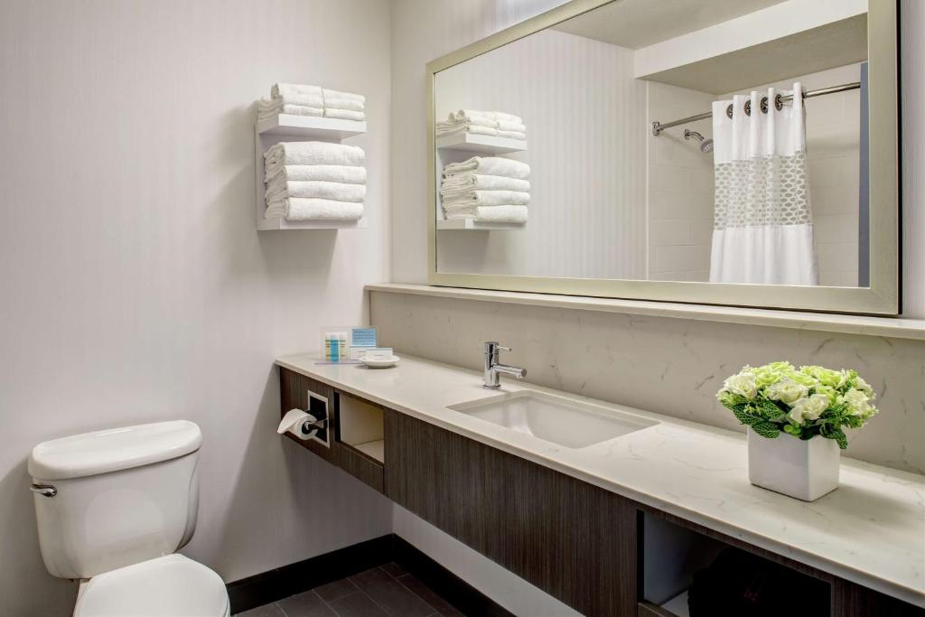 Koupelna v ubytování Hampton Inn & Suites Palm Desert