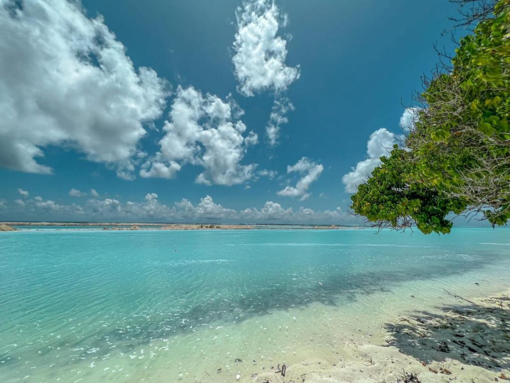 Infinite Lagoon - View 19