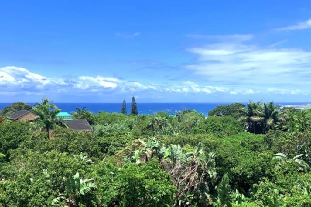 a view of the ocean from the forest at Big Fish Seaside Cottage, Sleeps 10 Guests in 5 Bedrooms in Port Edward