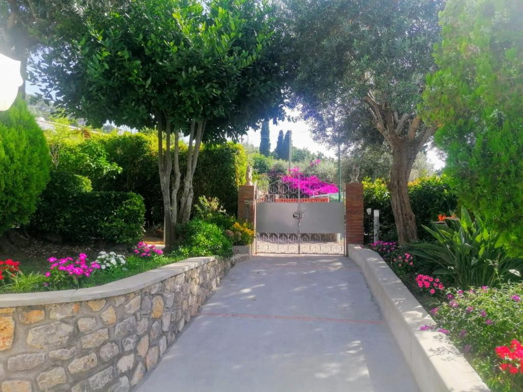 a walkway in a garden with flowers and trees at La Casa di Pitti in Anacapri