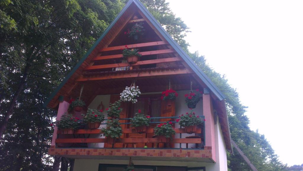 a house with potted plants on a balcony at House Jaksic in Žabljak