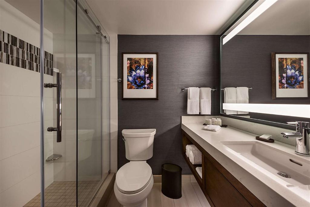 Embassy Suites by Hilton Scottsdale Resort - King Suite - Accesso All'udito