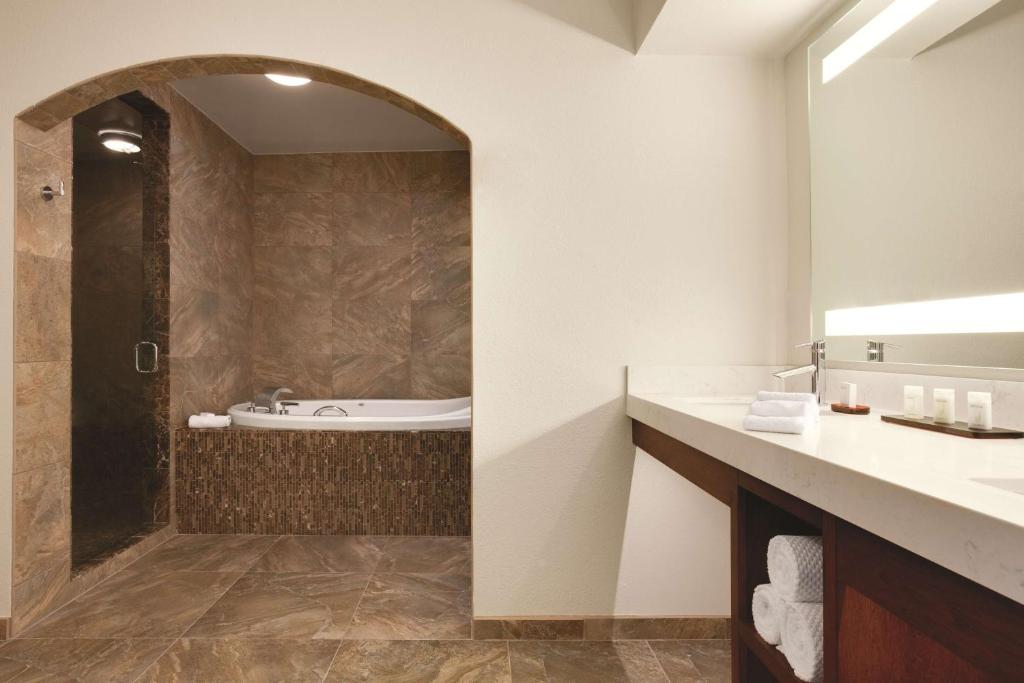 Embassy Suites by Hilton Scottsdale Resort photo