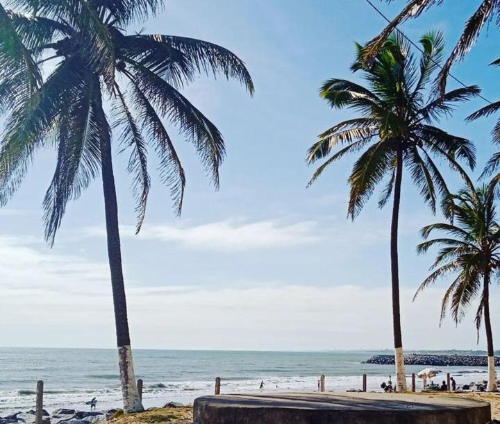 duas palmeiras numa praia com o oceano em Icaraí Budget em Caucaia