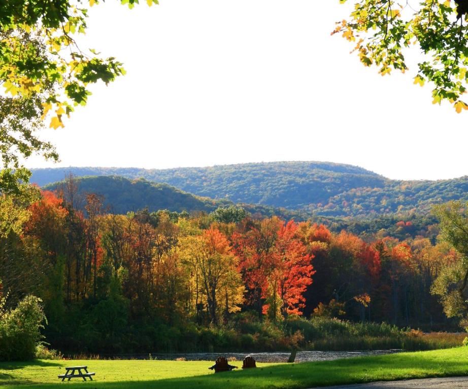 a picnic table in a field next to a river at Hampton Inn & Suites Berkshires-Lenox in Lenox