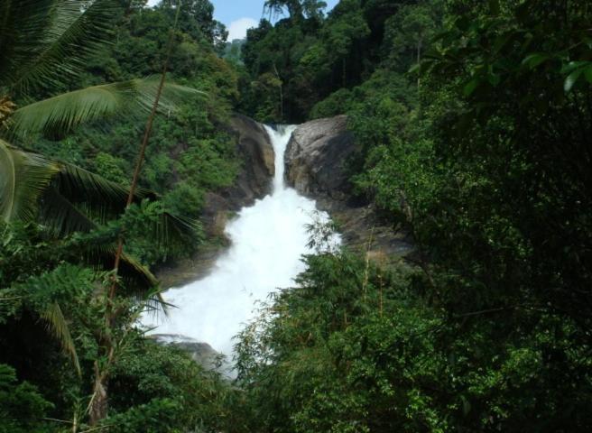 una cascada en medio de una jungla en Bopath Falls Rock Chalets, en Agalawatta