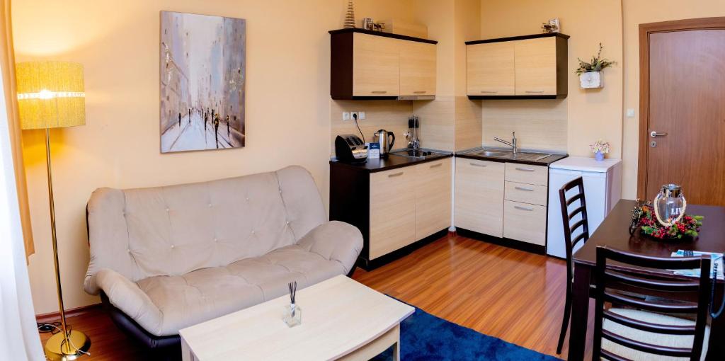 Kuchyň nebo kuchyňský kout v ubytování private apartment Bansko