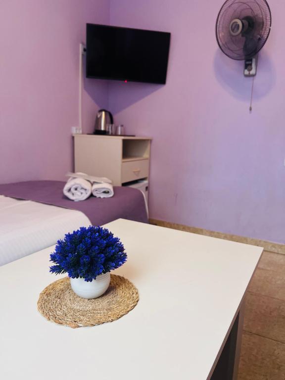 TV a/nebo společenská místnost v ubytování MarNar Hotel