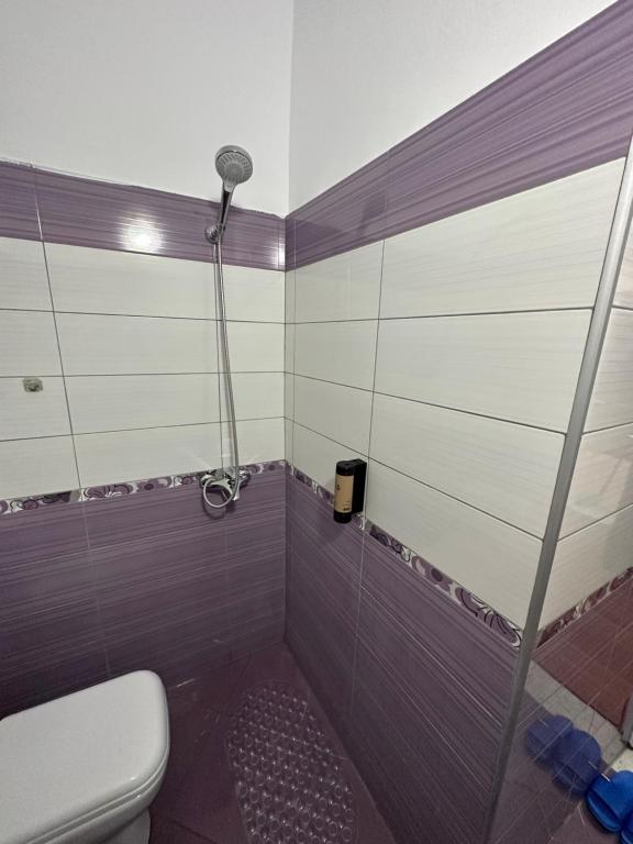 Elby Apartments - Image 3