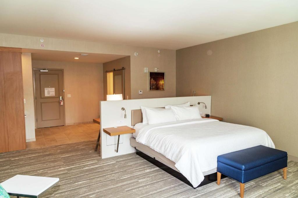 Hilton Garden Inn Tampa - Wesley Chapel - プレミアム キングルーム
