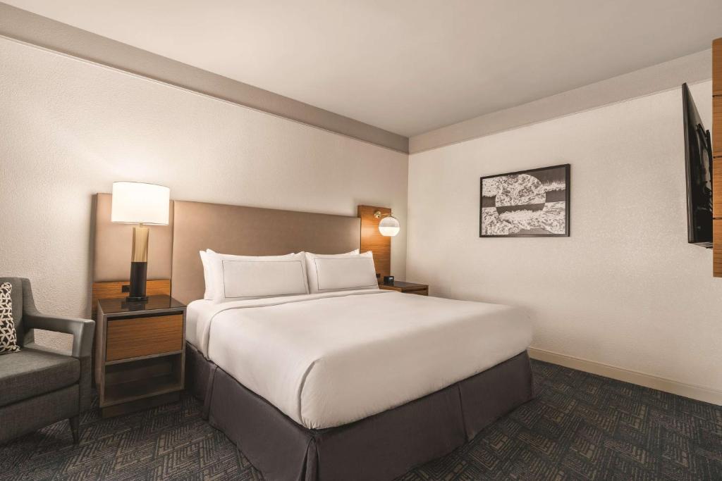 DoubleTree by Hilton Tampa Rocky Point Waterfront - 一居室国王套房 - 机动性可访问