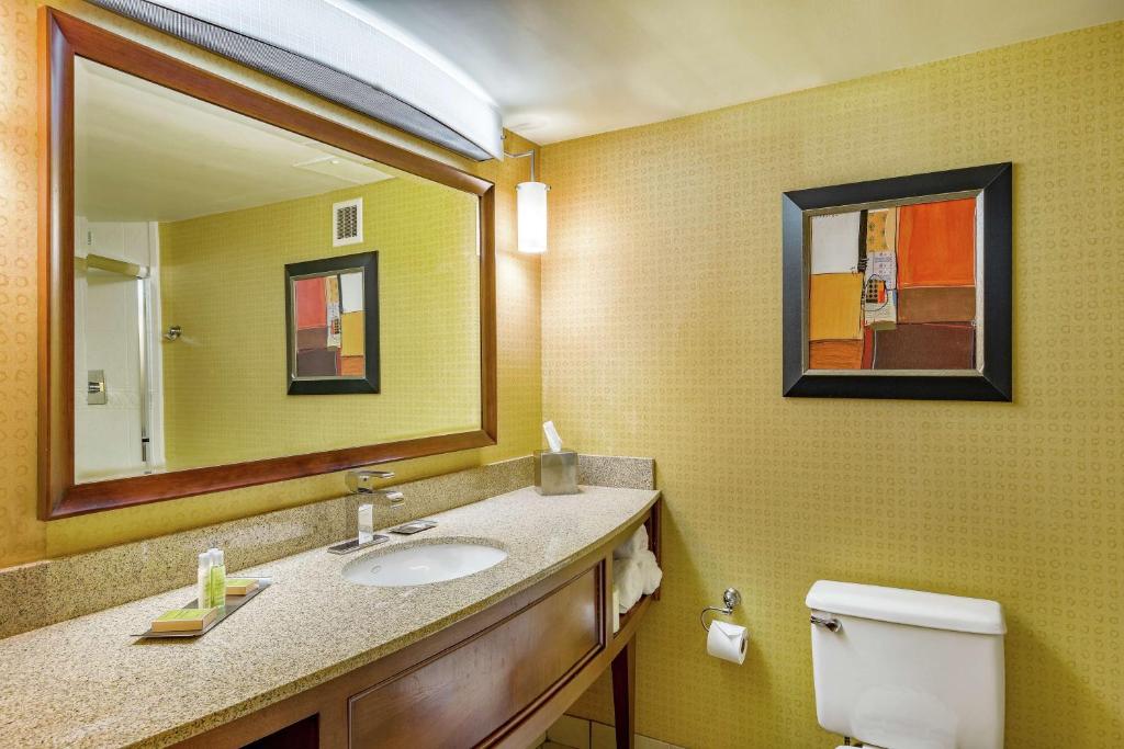 a bathroom with a sink and a mirror at DoubleTree by Hilton Johnson City in Johnson City