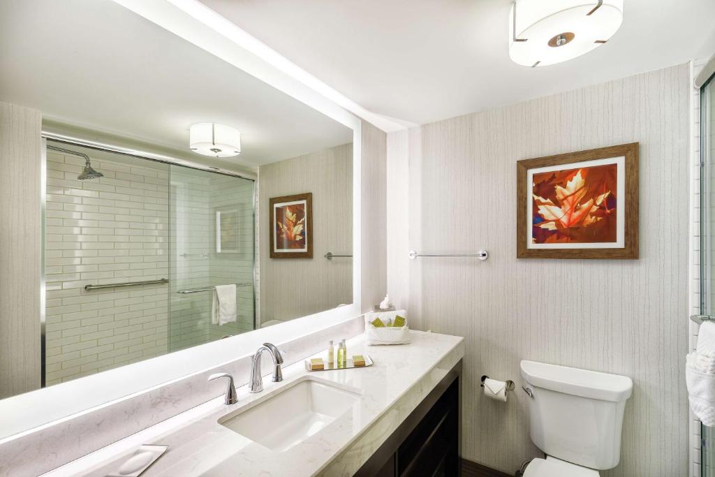 a bathroom with a sink and a toilet and a mirror at DoubleTree by Hilton Johnson City in Johnson City