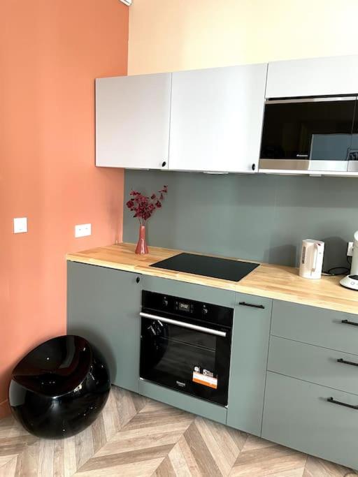 Η κουζίνα ή μικρή κουζίνα στο Appartement avec vue sur château - Metz