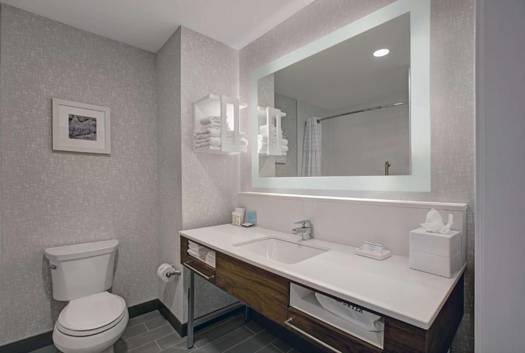 Hampton Inn & Suites By Hilton Waterloo St. Jacobs - King Room