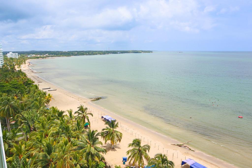 Blick auf einen Strand mit Palmen und das Meer in der Unterkunft Mágico Apartamento Frente al Mar 3 Habitaciones PV82 in Coveñas