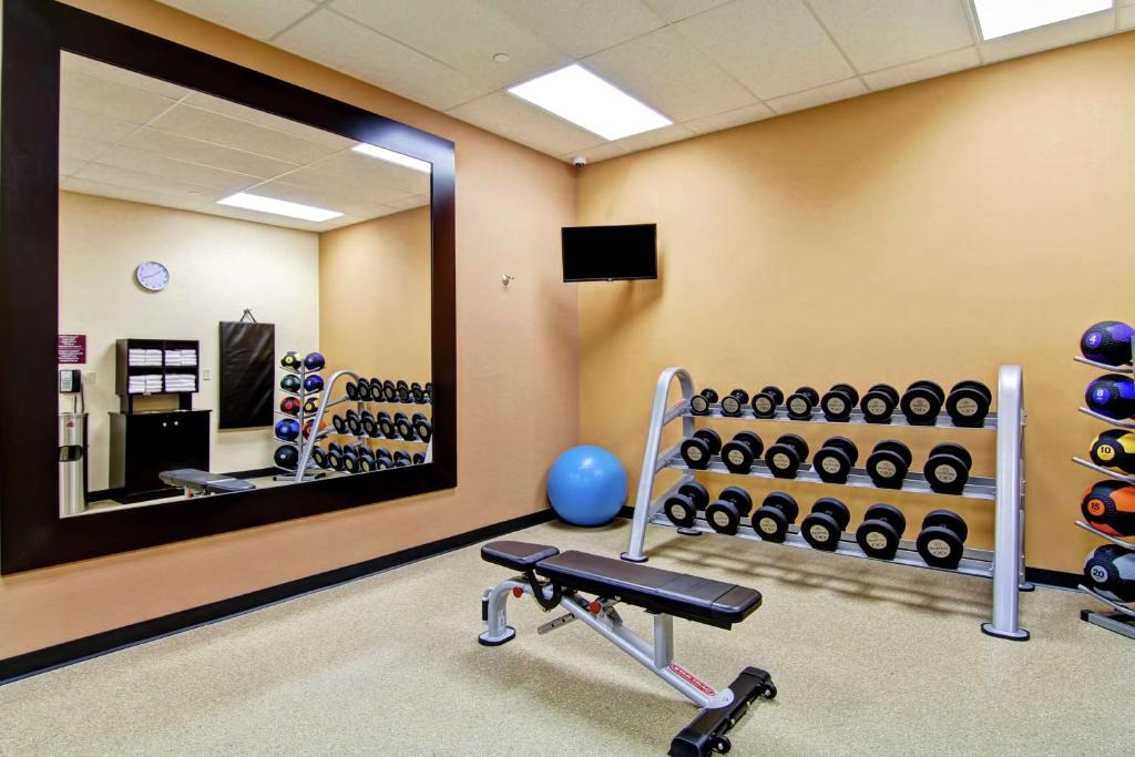 a gym with dumbbells and a mirror at Hilton Garden Inn Ottawa Airport in Ottawa