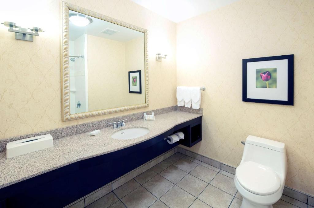 a bathroom with a sink and a toilet and a mirror at Hilton Garden Inn Ottawa Airport in Ottawa