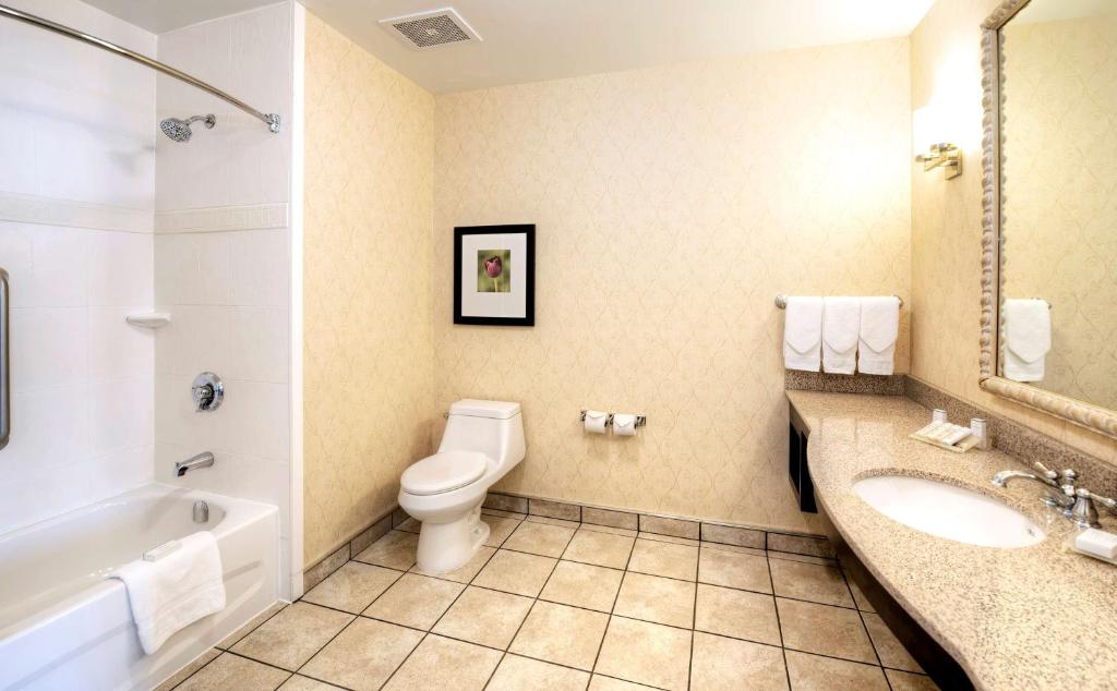 a bathroom with a toilet and a sink and a tub at Hilton Garden Inn Ottawa Airport in Ottawa