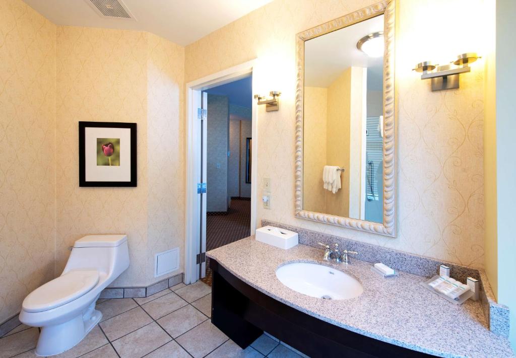 a bathroom with a sink and a toilet and a mirror at Hilton Garden Inn Ottawa Airport in Ottawa