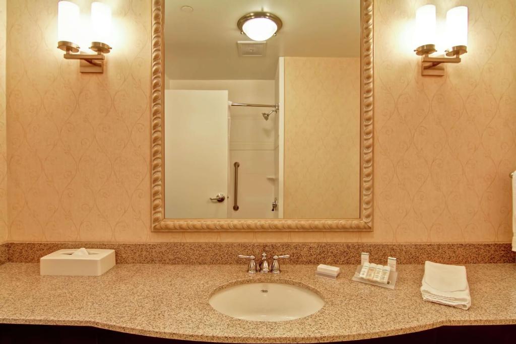 a bathroom with a sink with a large mirror at Hilton Garden Inn Ottawa Airport in Ottawa