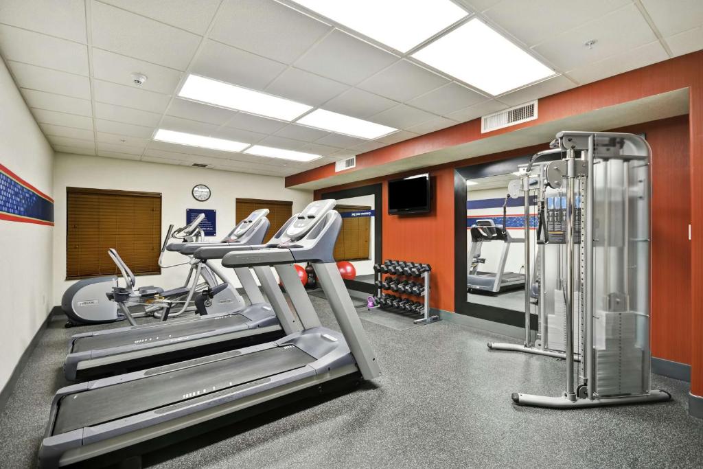 Fitness centrum a/nebo fitness zařízení v ubytování Hampton Inn & Suites Yuma