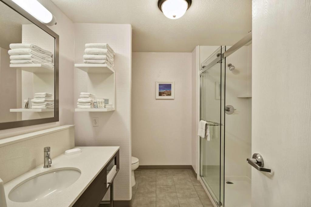 Koupelna v ubytování Hampton Inn & Suites Yuma