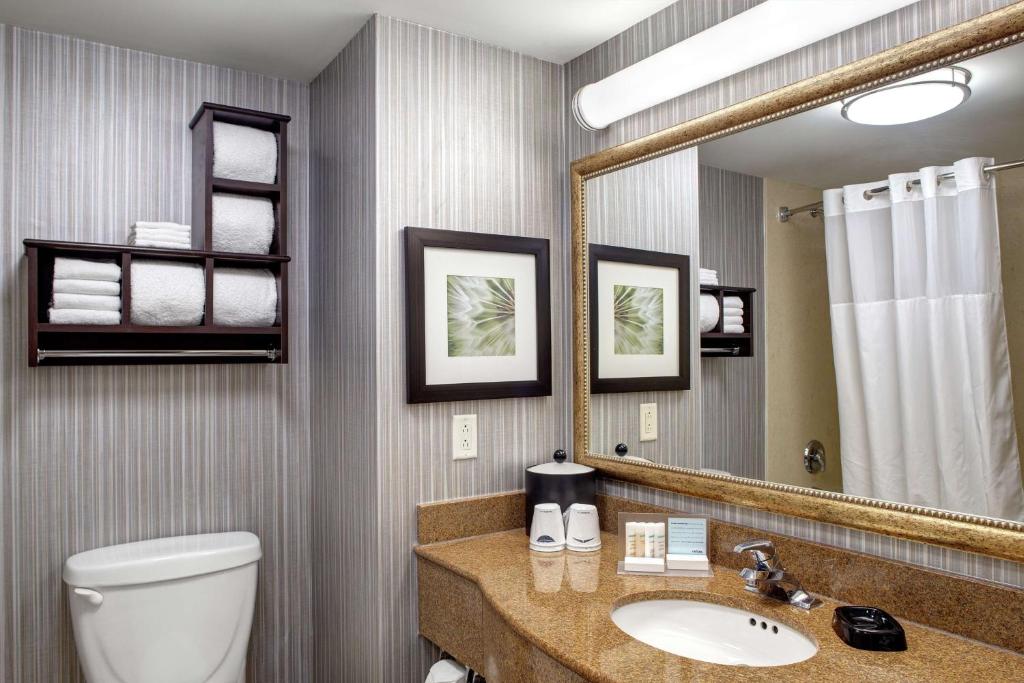 Hampton Inn & Suites by Hilton Toronto Airportにあるバスルーム