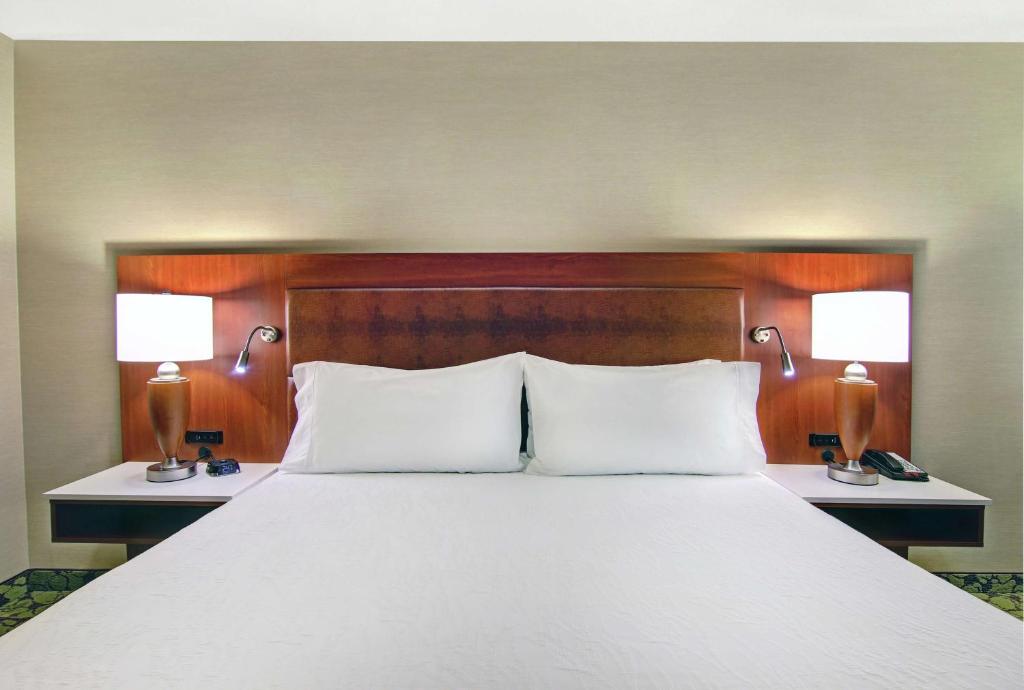 Hilton Garden Inn Toronto/Markham - Cuarto King