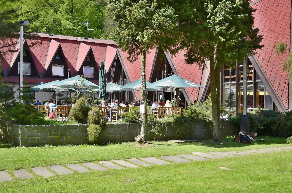 Zahrada ubytování Hotel Konopiště Nová Myslivna