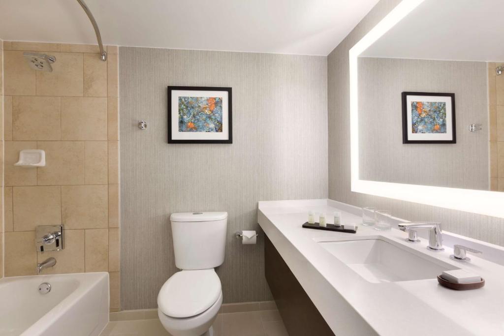 Embassy Suites by Hilton Chicago Lombard photo