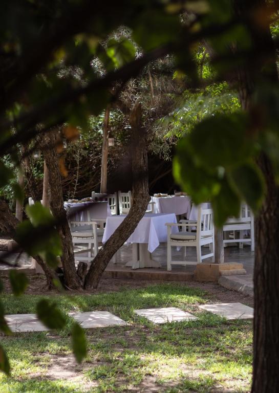 Zahrada ubytování Villa Al Assala Palmeraie