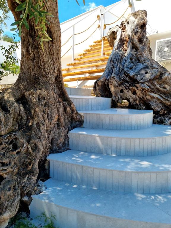 un albero che cresce intorno a una rampa di scale di Le Fronde Vieste a Vieste