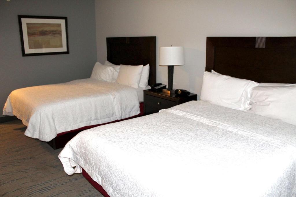 Hampton Inn Indianapolis NW/Zionsville - Camera Queen Con 2 Letti Queen-Size - Non Fumatori